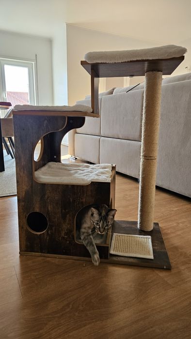 Árvore de gatos, excelente estado