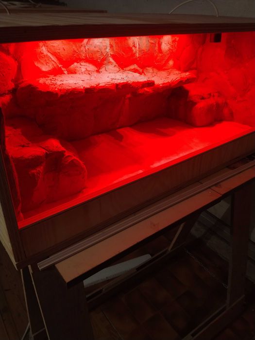 Terrarium skalne dla agamy, nowe