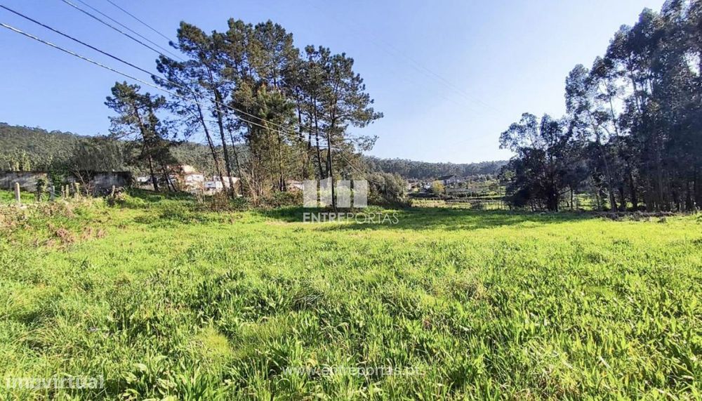 Venda de Terreno totalmente murado, Vila Franca, Viana do Castelo
