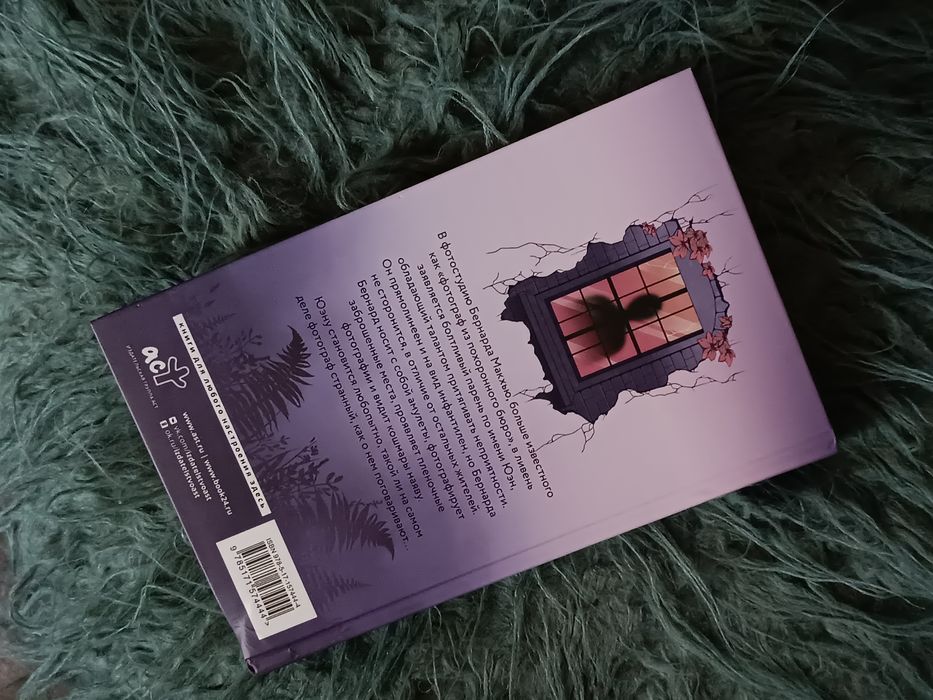 Окно призрака, Камрин Харди