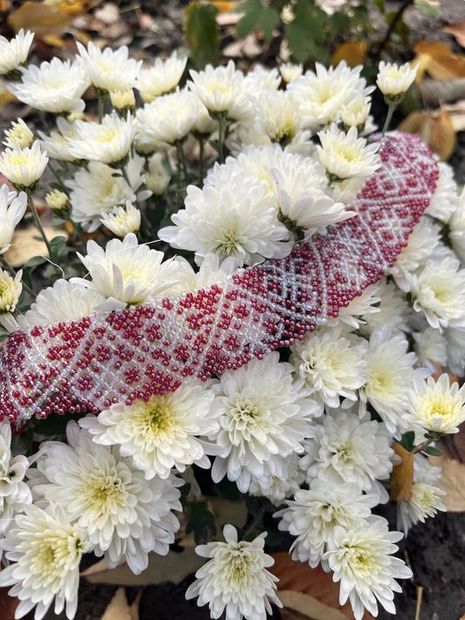 Силянки та гердани