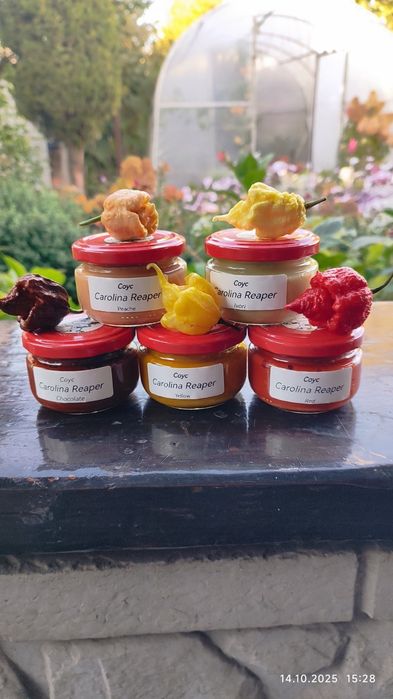 Надгострий перець Carolina Reaper сушений