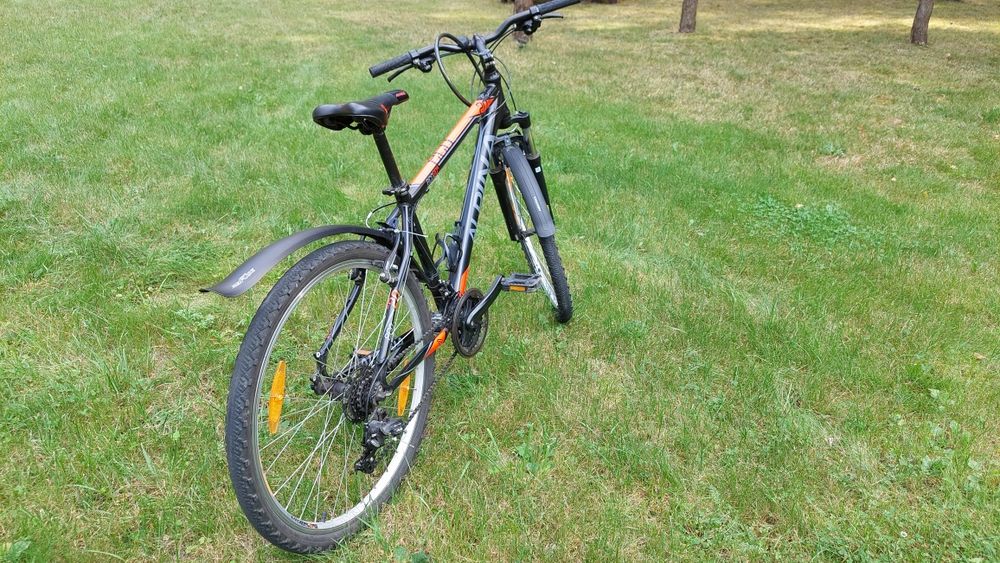 Rower Alpina ECO 20 M