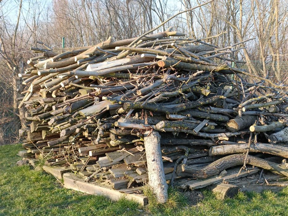 Drzewo opałowe na zimę