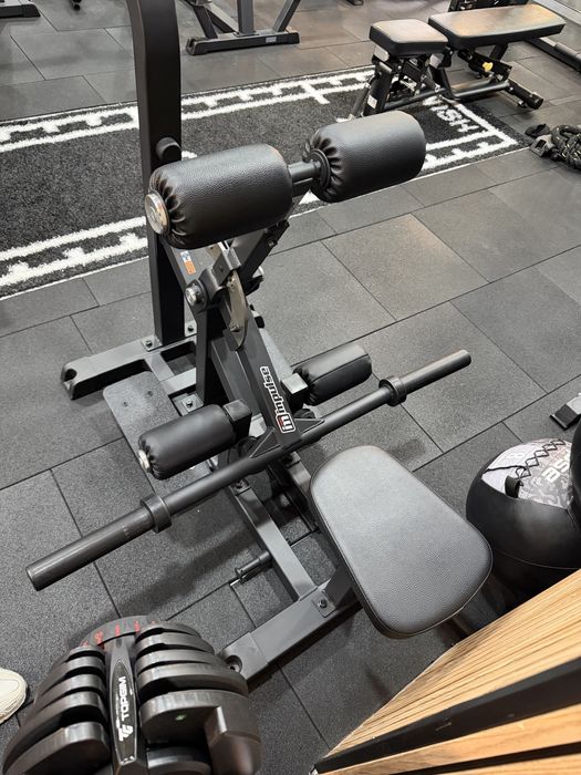 Hip Thrust Vertical Impulse (Carga Livre)