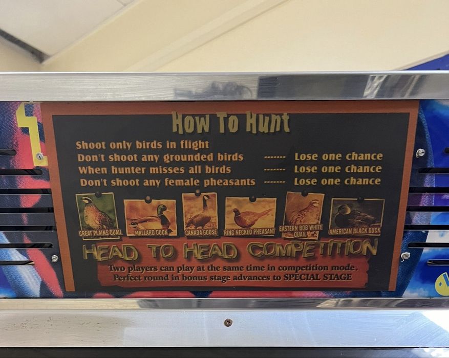 Arcade caça  - Wing Shooting