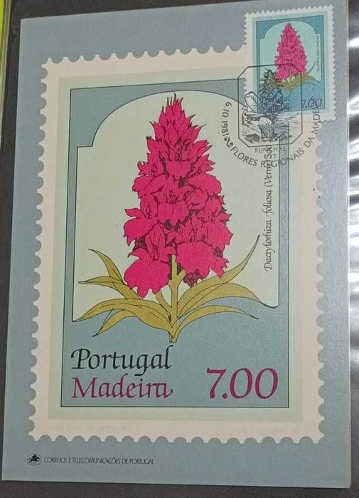 Postais Maximos - Portugal Flores da Madeira