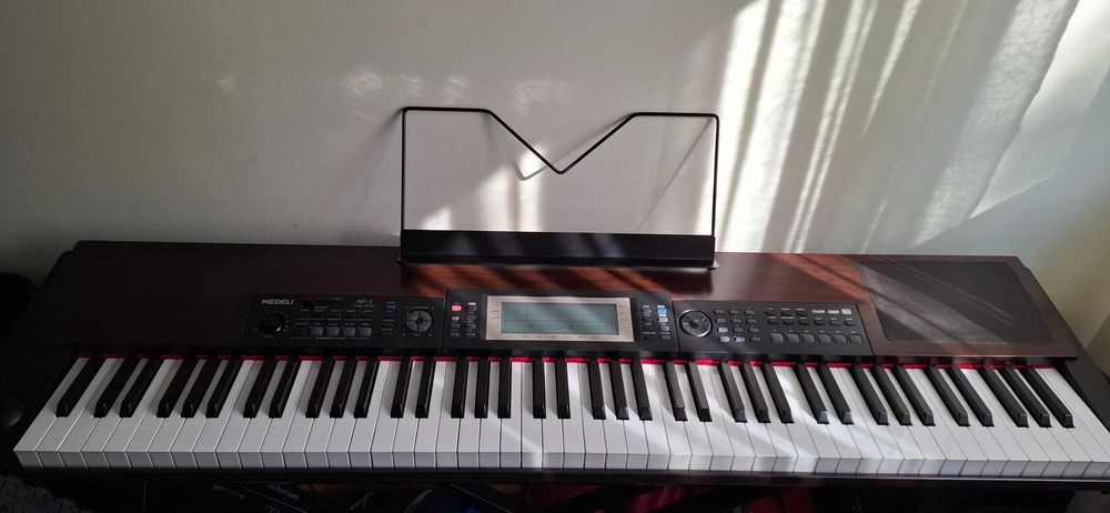 Piano 88 teclas pesadas