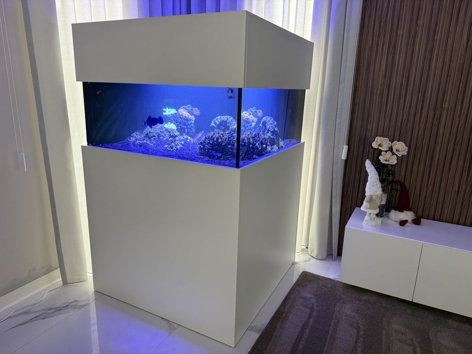 Aquario Agua Salgada Reef