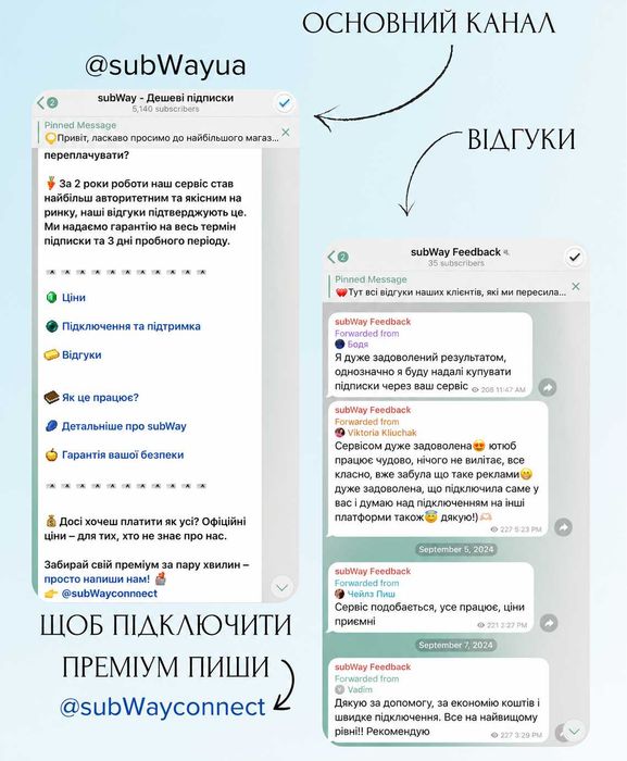 Spotify Premium, ChatGPT Plus, Netflix 4K, SurfShark VPN підписка