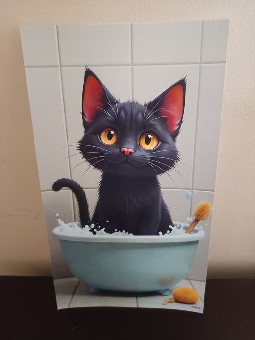 Pôster gato tomando banho