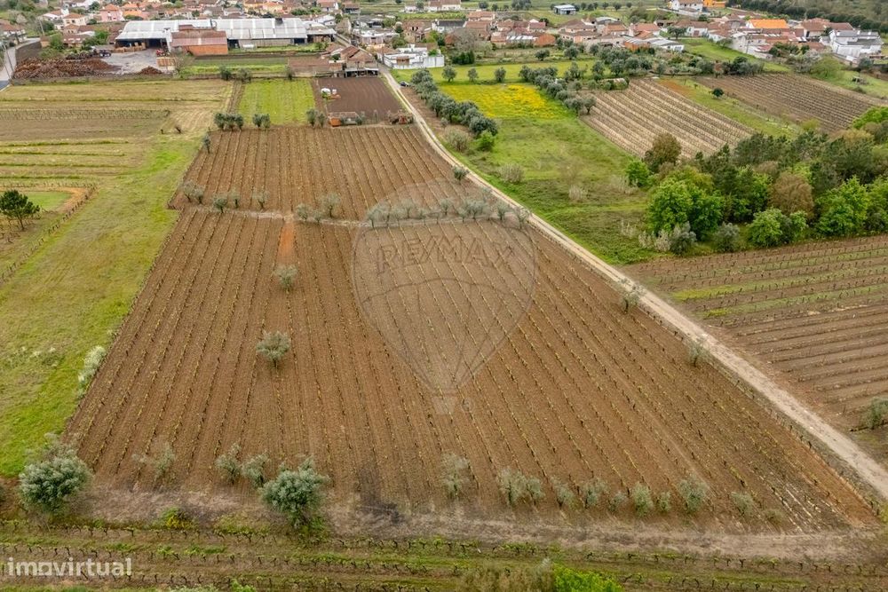 Terreno  para venda — Sepins E Bolho, Coimbra