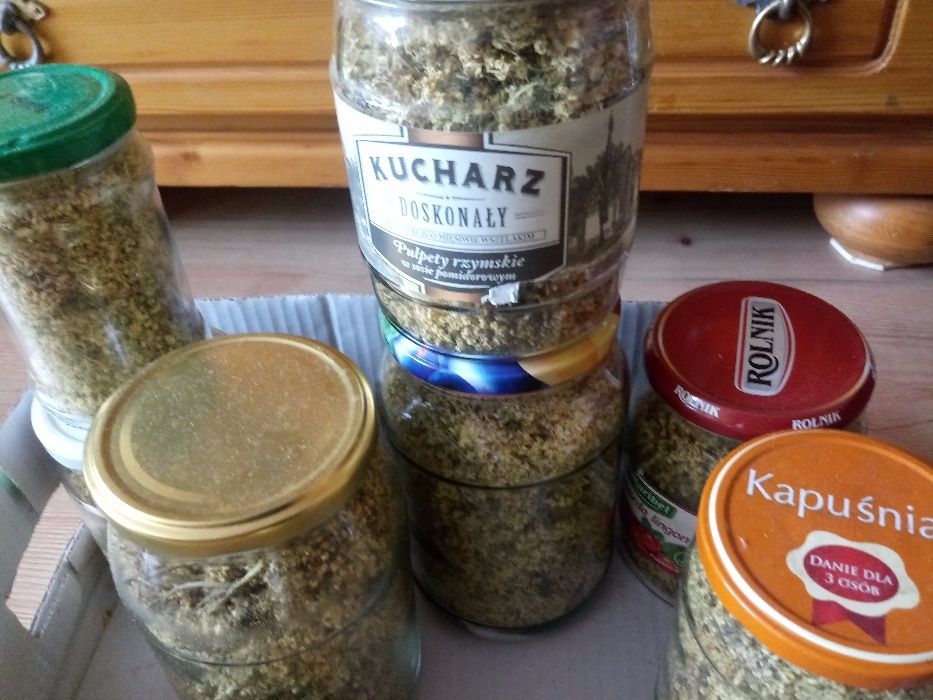 Czarny bez suszone kwiaty