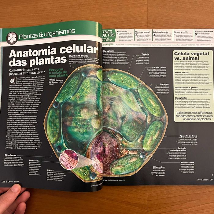 Quero Saber Especial - A Incrível Terra (envio grátis)