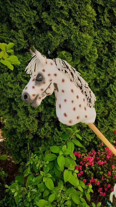 Hobby horse tarantowaty