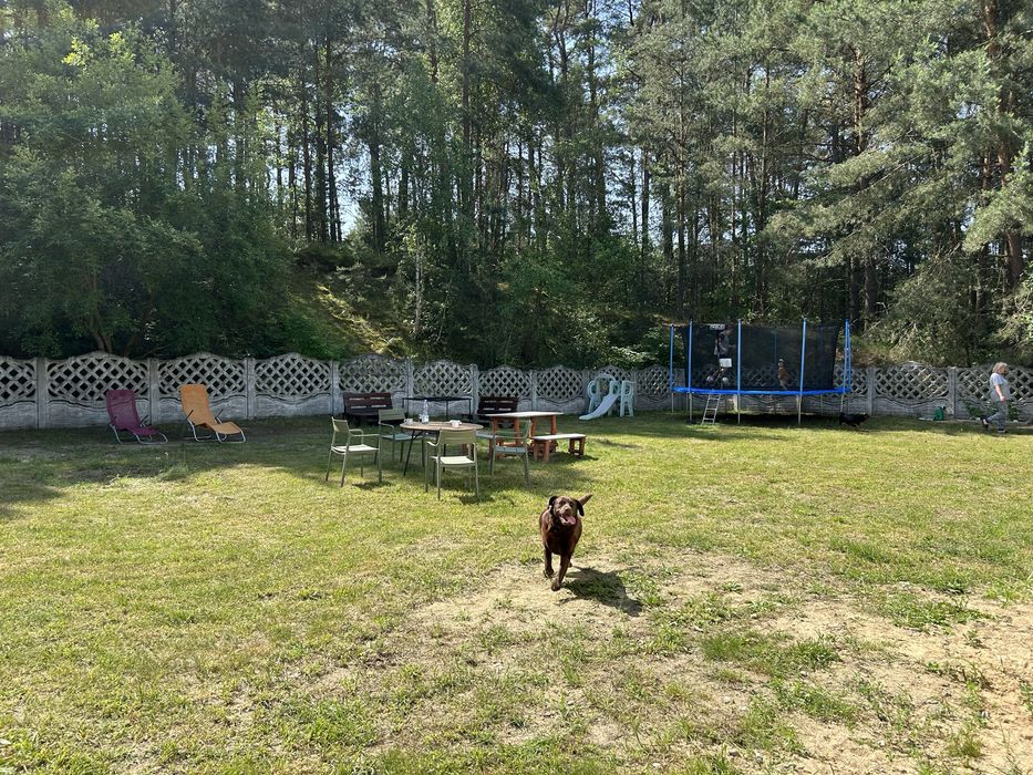 Dom blisko jeziora - woj. Lubuskie