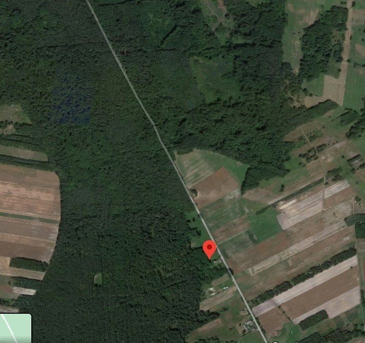 Działka budowlana Borzykówka 2700 m² gm.Żytno pow. radomszczański, woj. łódzkie - Widok 5