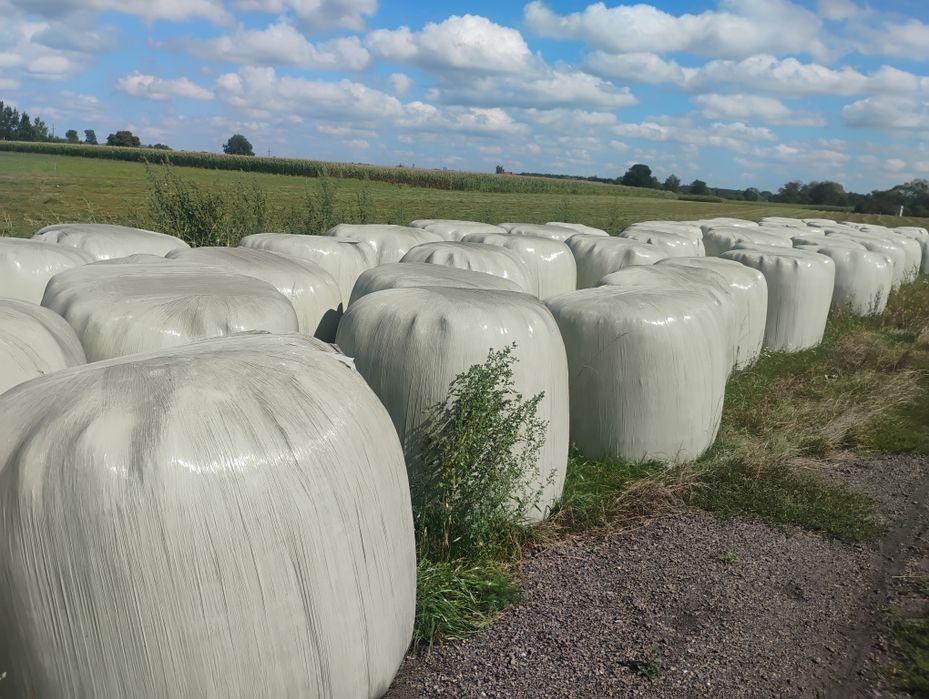 Bele 130 sianokiszonka