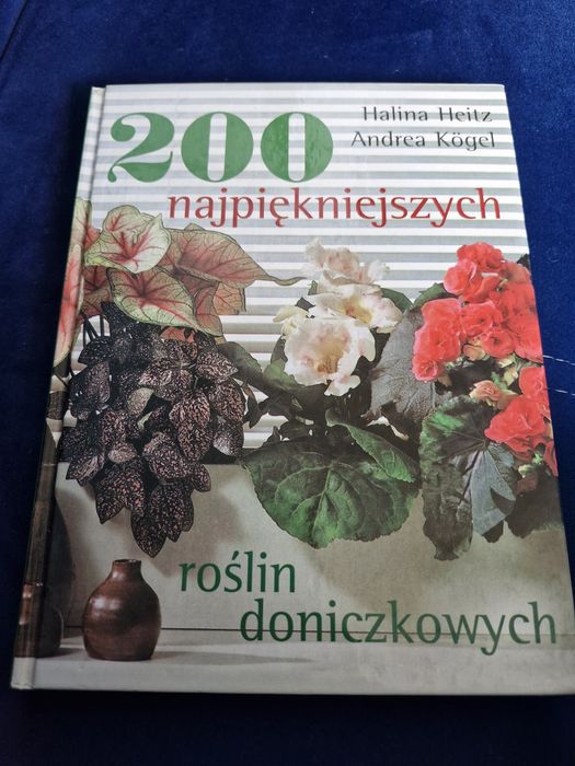 Poradnik -rośliny doniczkowe