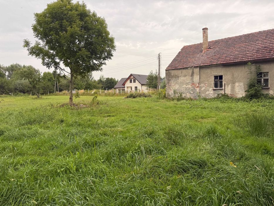 Dom – Wołów - Widok 5