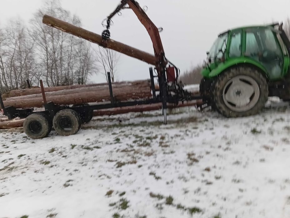 Uslugi leśne zrywka,wycinka drzew, skup drzewa na pniu