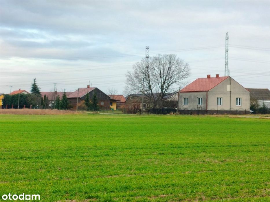 Zdjęcie 7
