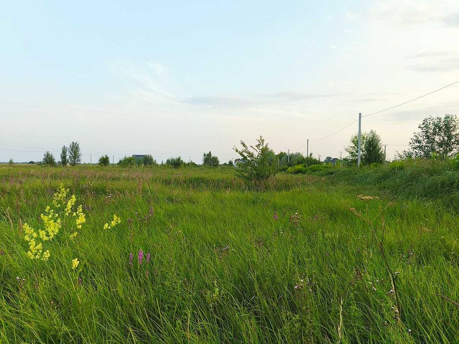 Власник! Ділянка 12 соток, Димер