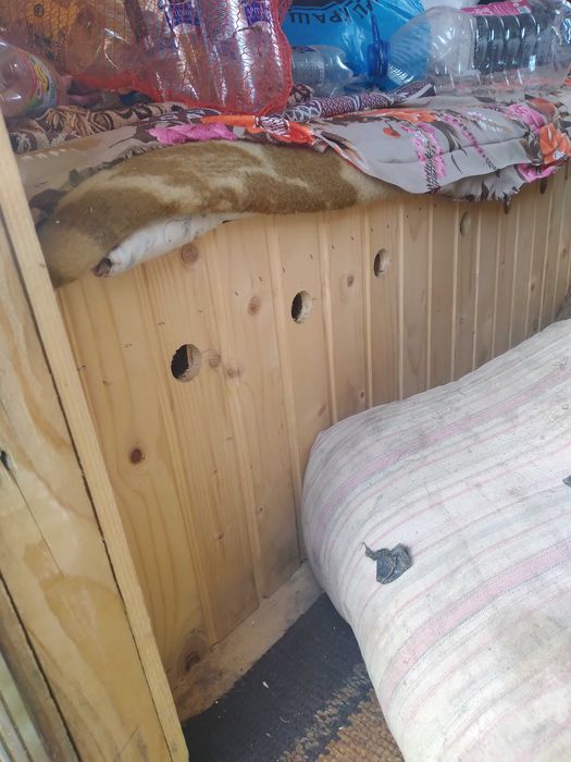 Апібудинок  вулики