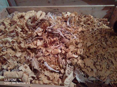 корм для собак екструдований 12 кг