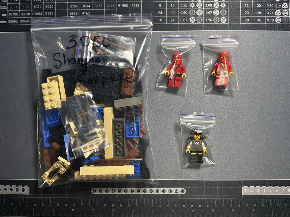 LEGO System Ninja Shanghai surprise (3050)