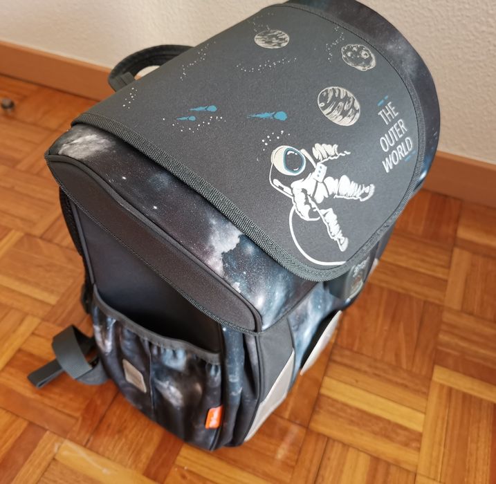 Mochilas escolares Tiger Family