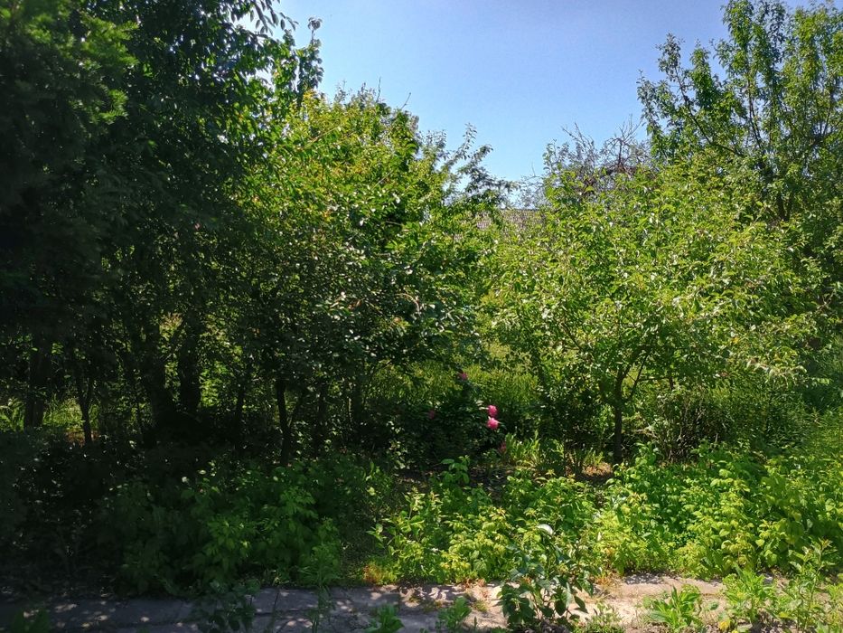 Działka ROD Radość życia Wrocław ul. końcowa