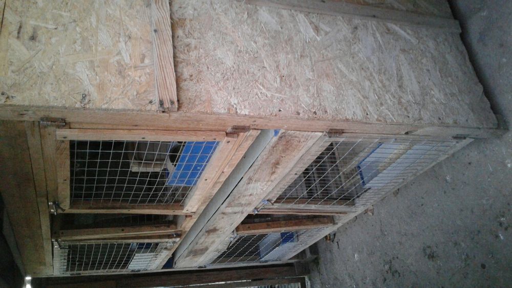 Клетка для кролей