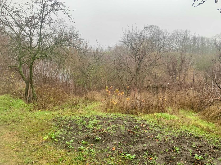 Продаж будинку Шкільний (ділянка 6,5 соток примикає до Валів)