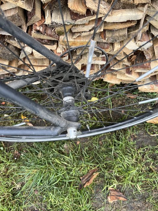 Kolarzowka battecchia