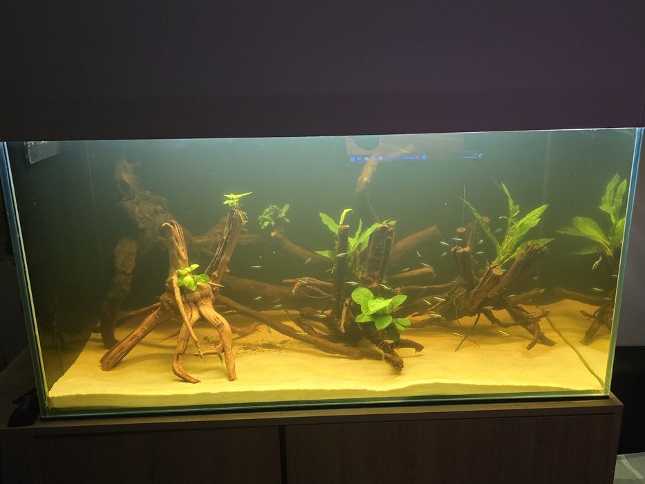Sprzedam akwarium 120x60x60