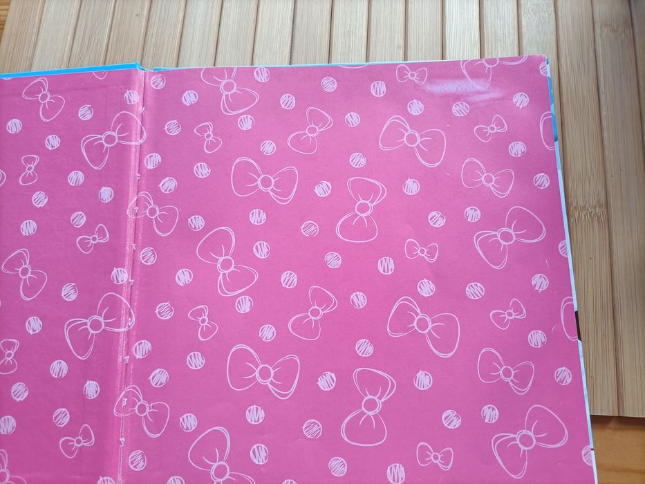 2 livros + peluche Minnie