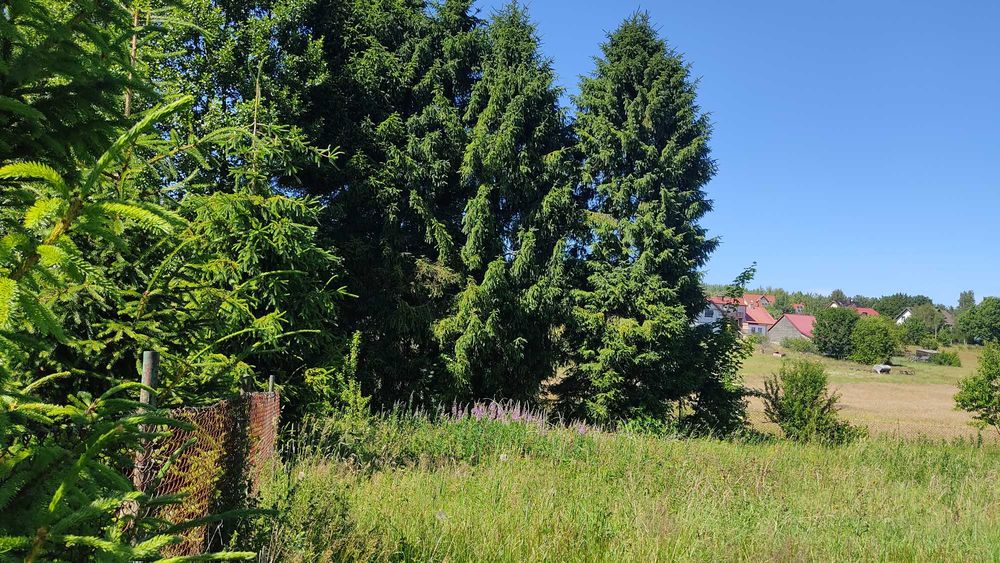Koleczkowo koło Gdyni działkę budowlaną 1443 m² sprzedam - Widok 3