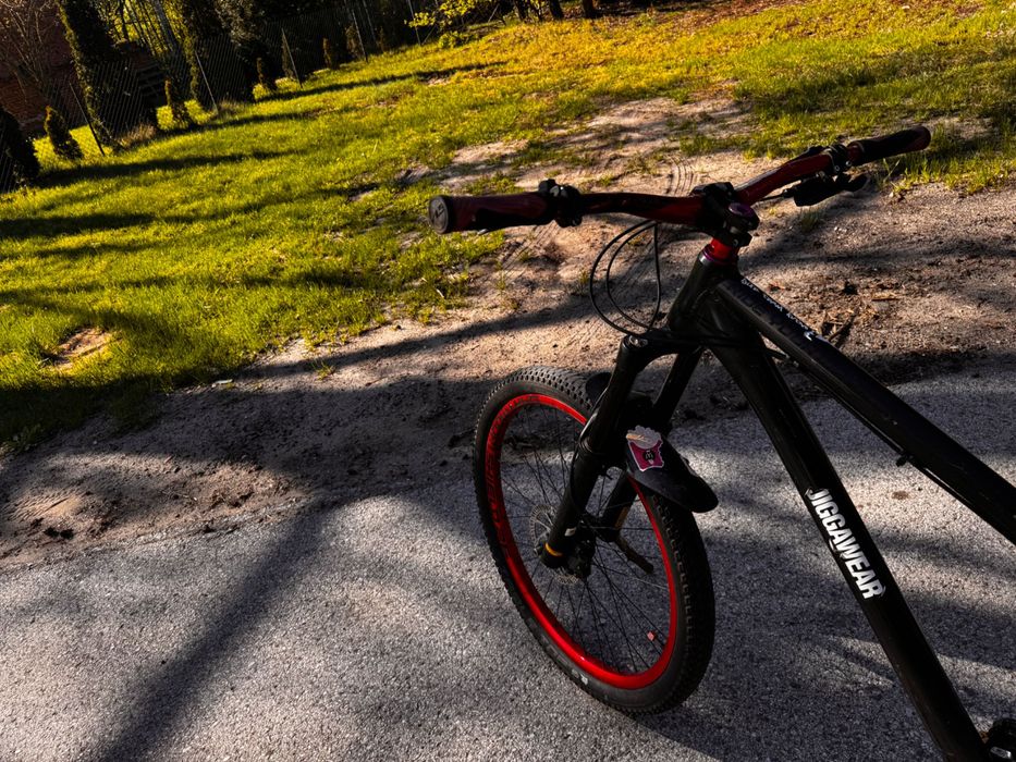 Dartmoor Hornet 2015