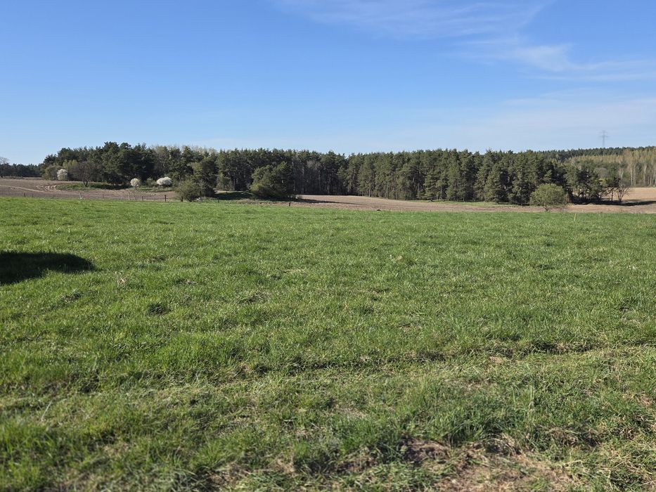 Działka Lemany, 15.79 ara z warunkami zabudowy