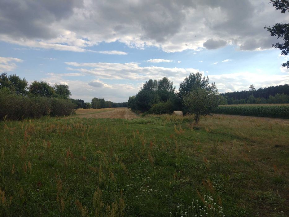 Działka, dom, pole, las