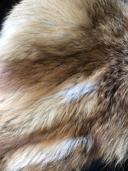 Casaco pele raposa da Jugoslávia