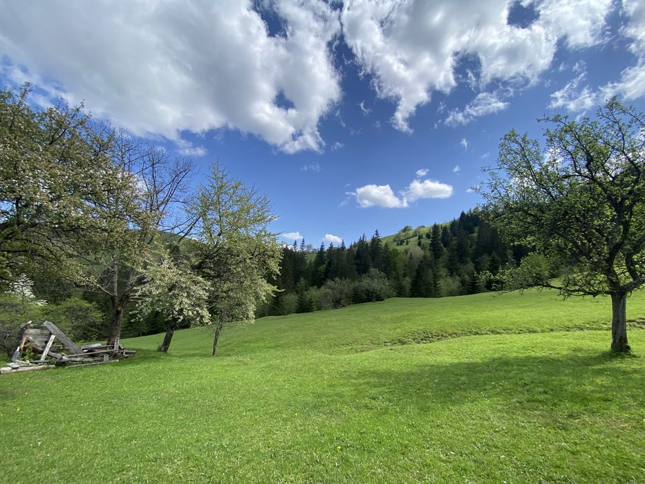 Ділянка у Кривопіллі .