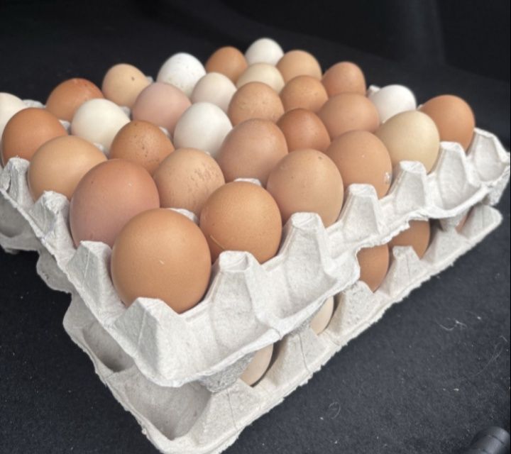 Продам яйця домашні