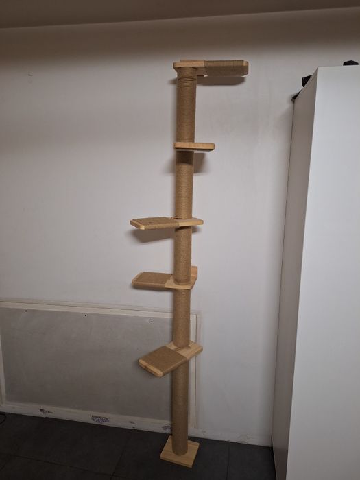 Drapak dla koto fukumaru