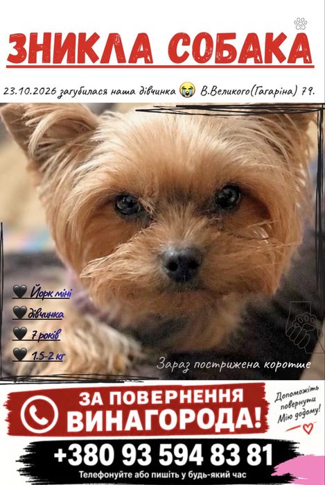 ПОШУК СОБАКИ! пропав Йорк