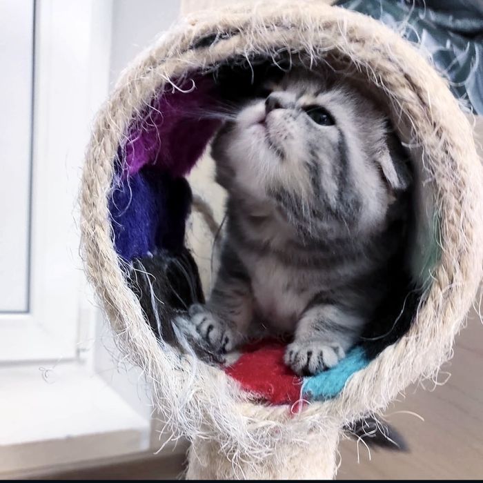 Народжені  для хороших людей