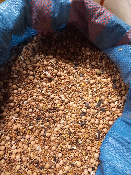 Mieszanka dla gołębi