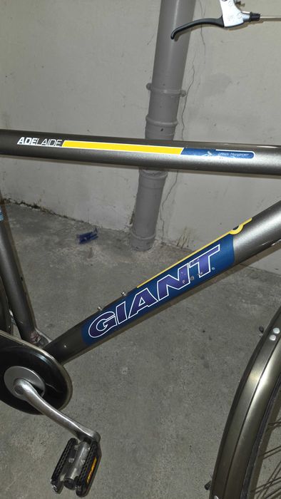 Rower męski GIANT