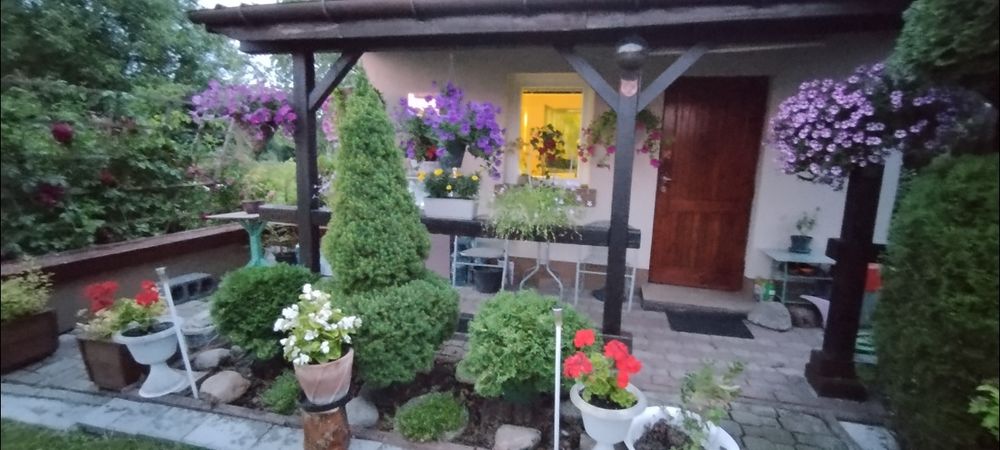 Działka ROD KAILINA Kalinówka - Widok 6